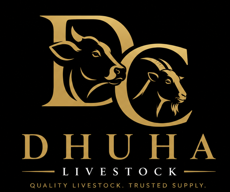 Logo Dhuha Livestock